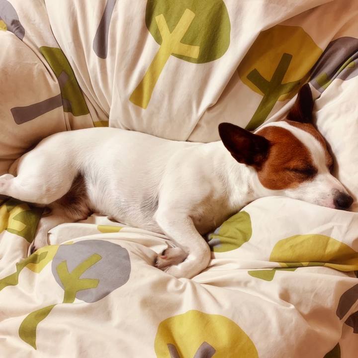 Edb33ae1 8f5a 4468 9df8 cefe23447af5 1558640795275