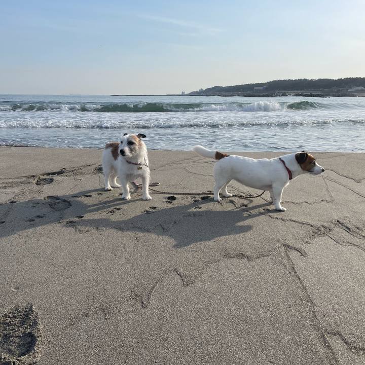 Edb34568 4535 4417 ada6 d45f15f2214a 1742772085909