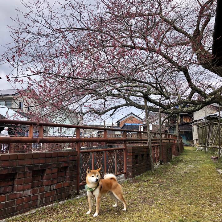 Edb3bd18 15b8 4aed 9e6c a8ba38308eec 1554016590655