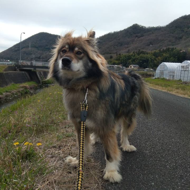 Edb3e79f 3adf 46ac 83dd 417682564e60 1589944302244