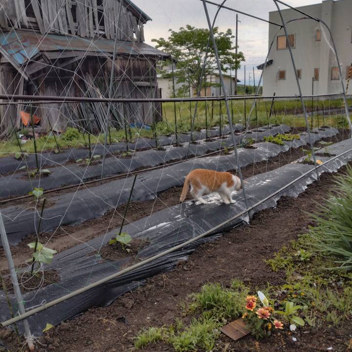 Edb3ec63 3a13 40b9 bd4a 3101c3f670a1 1747521634079