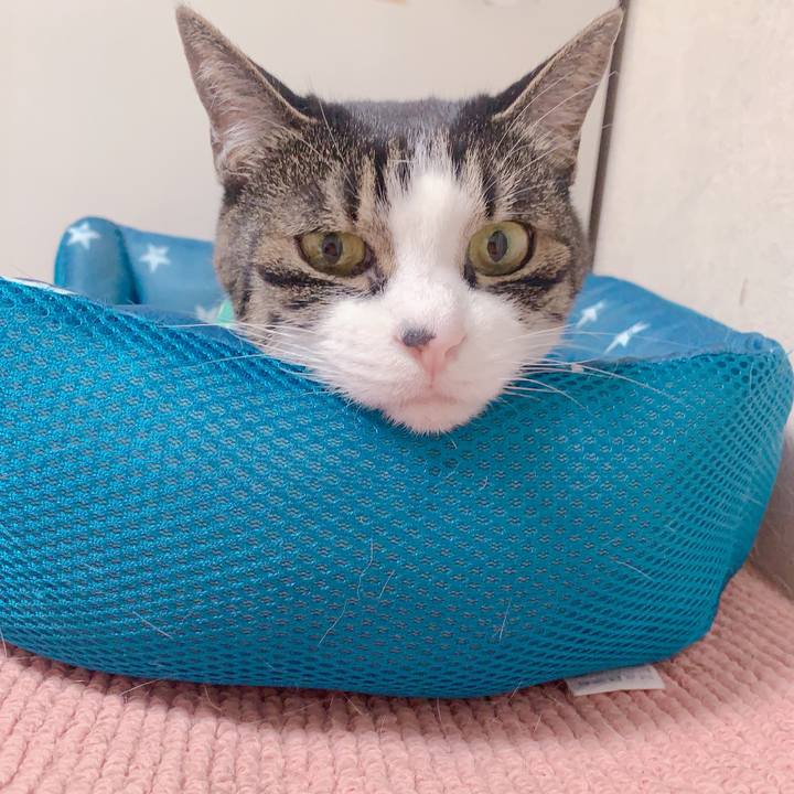 Edb40770 4e33 4fb9 9a08 41f44a7acf95 1682860841915