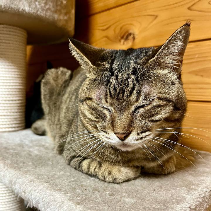 Edb40bd7 7921 4188 98fc 183739c2e3fa 1696074548712