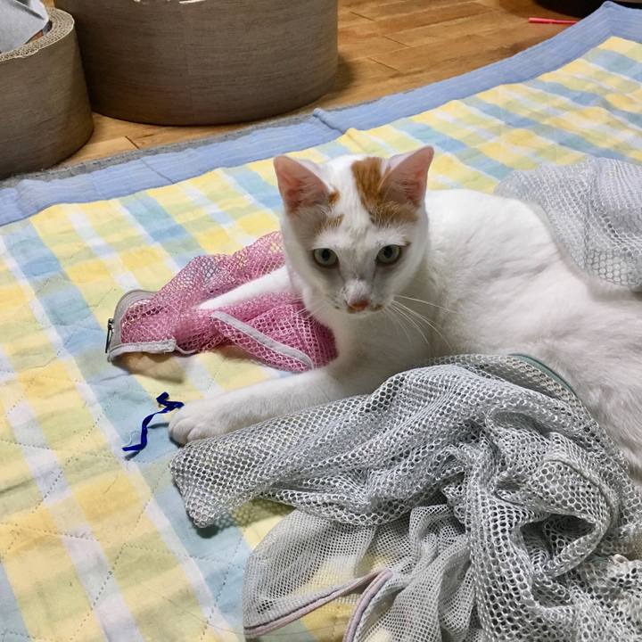 Edb4162a fcbf 4076 94b0 6e1e6f9cb74b 1527603959649