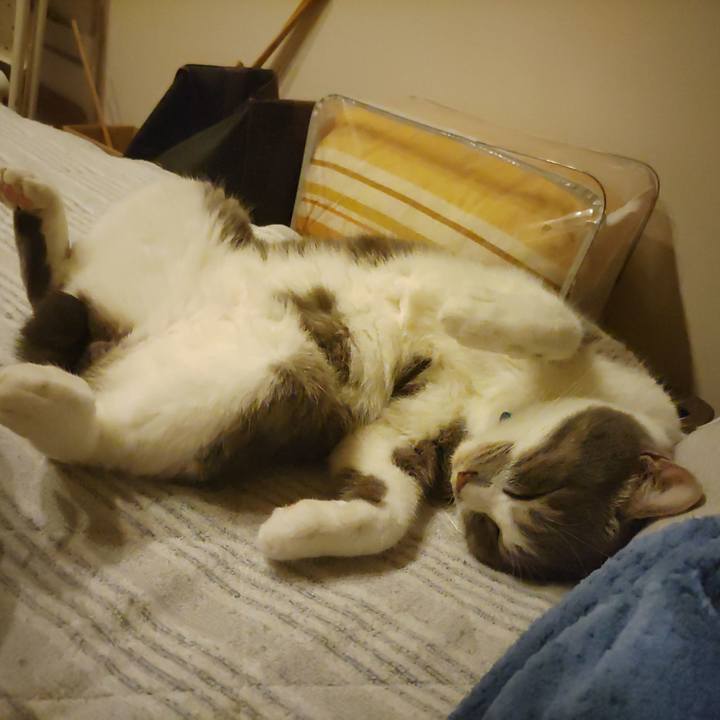 Edb4497a e0fe 42c4 81d2 b7c5e105e495 1718109543376