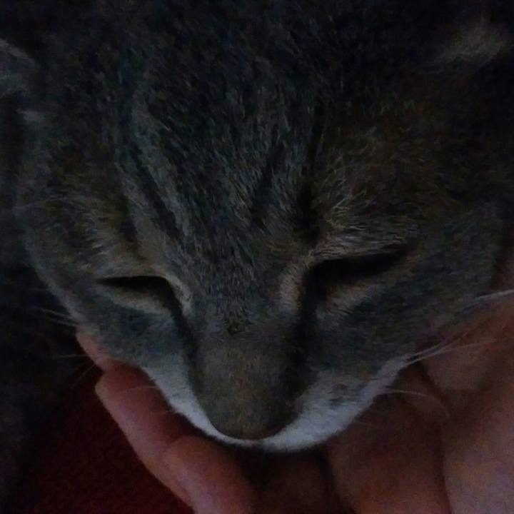 Edb47e14 eaf9 4728 af02 6bfea5a1c622 1596227239382