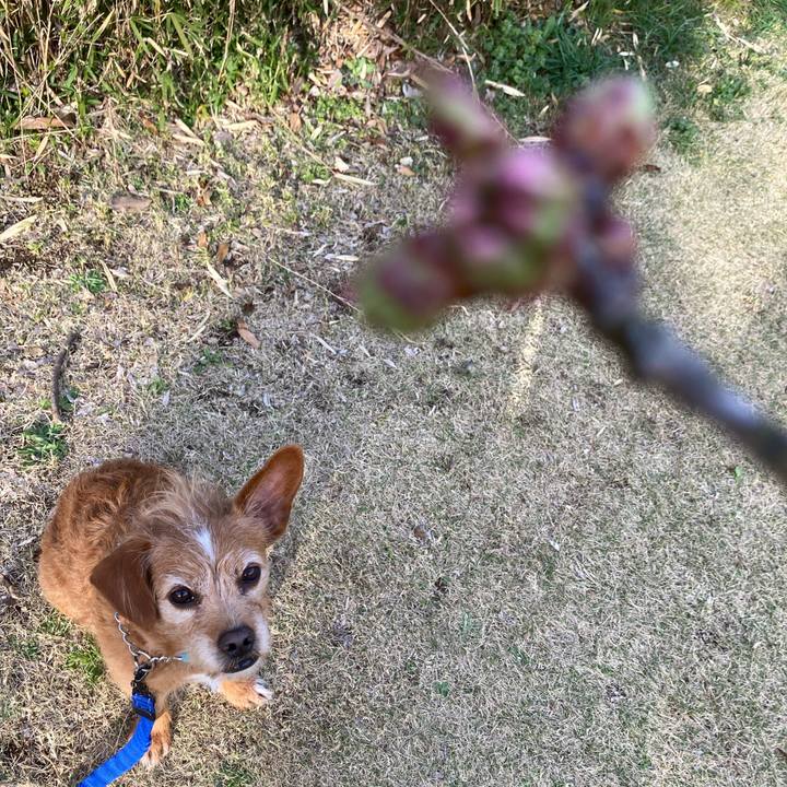 Edb47f4c 5d29 4d61 a95d 0761ee562a0f 1647863094279