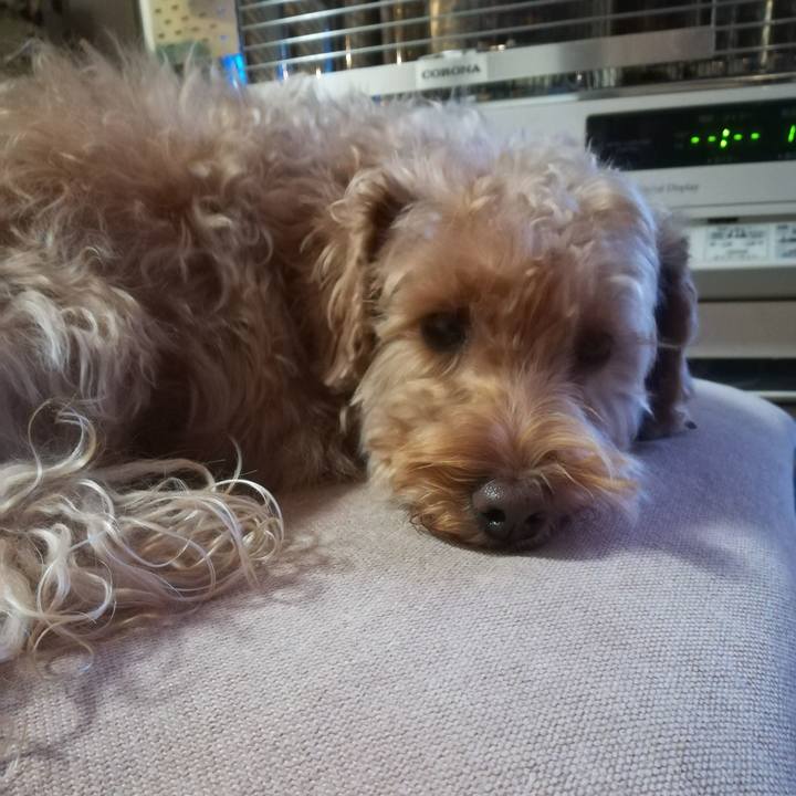 Edb49a1e 86ee 4232 9566 8bea666ff7f1 1550026413878