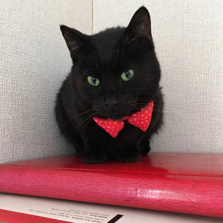 Edb4b8c1 d993 480d b80d 7cf071f380f4 1581398698266