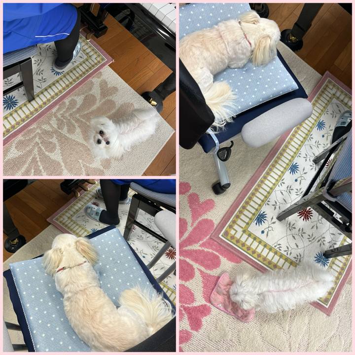 Edb4cb20 0dc0 44ca a9dc 7cfa08dbadc7 1713345035629