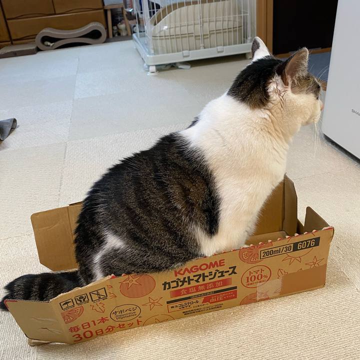 Edb4f7c7 308b 4570 b546 fdc83d5b71a2 1765985086036