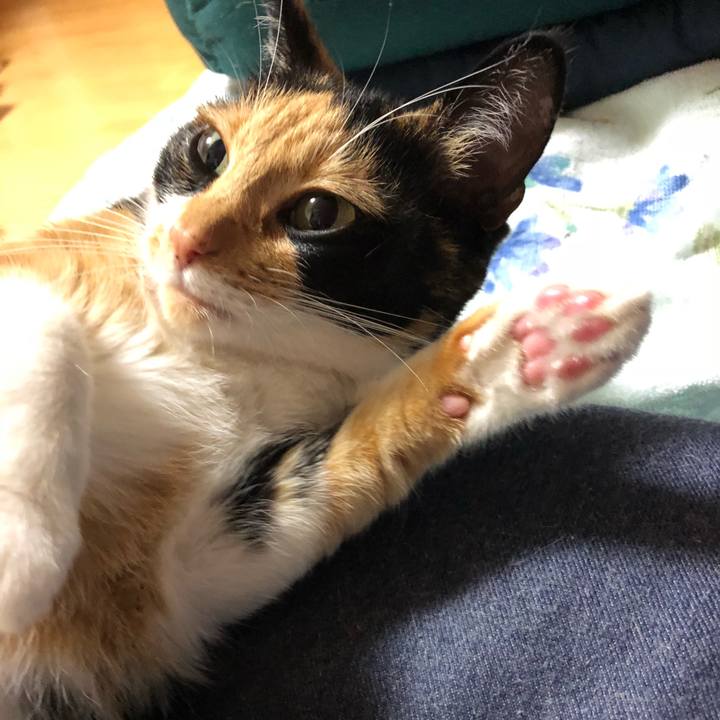 Edb5035f 2db2 4af3 932d cc6288367b00 1537864653176