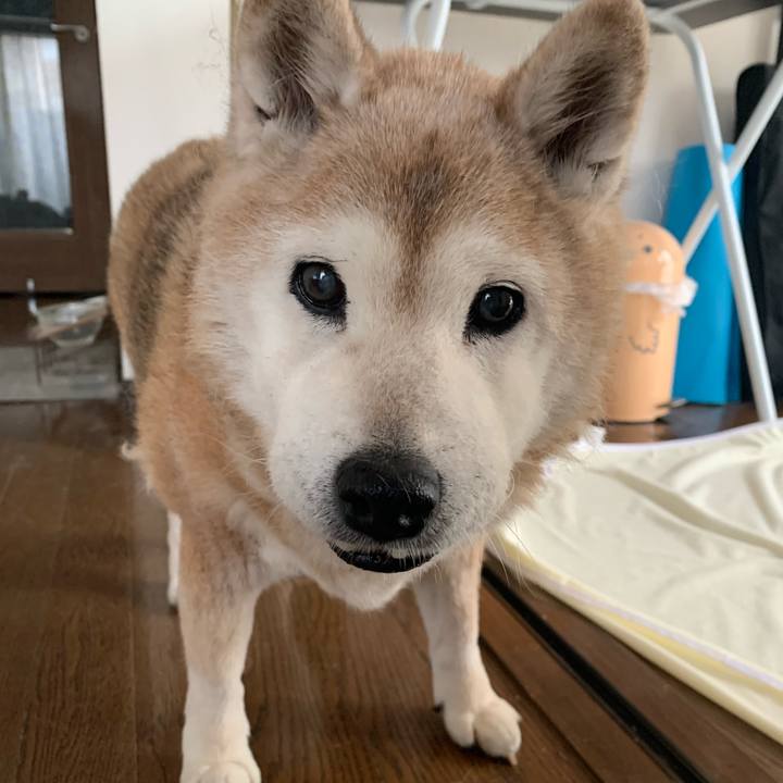 Edb50fd8 b3a7 445a a033 15312755c872 1675478934487