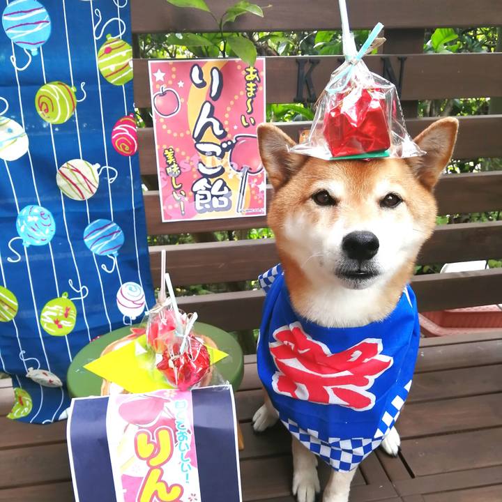 Edb56745 21e1 43d2 9093 fc3c3157b202 1660355511012