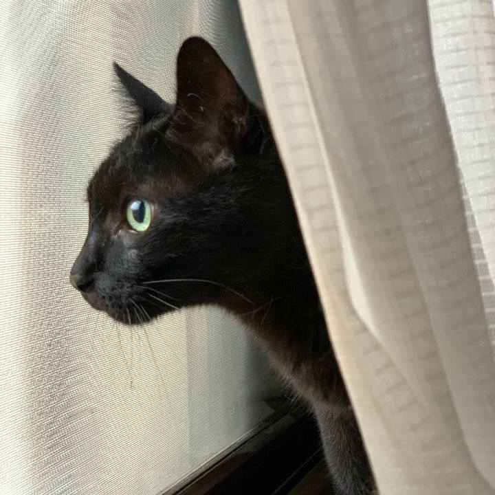 Edb56e00 532f 4250 9a55 c1c7cba6c5d2 1594083855353