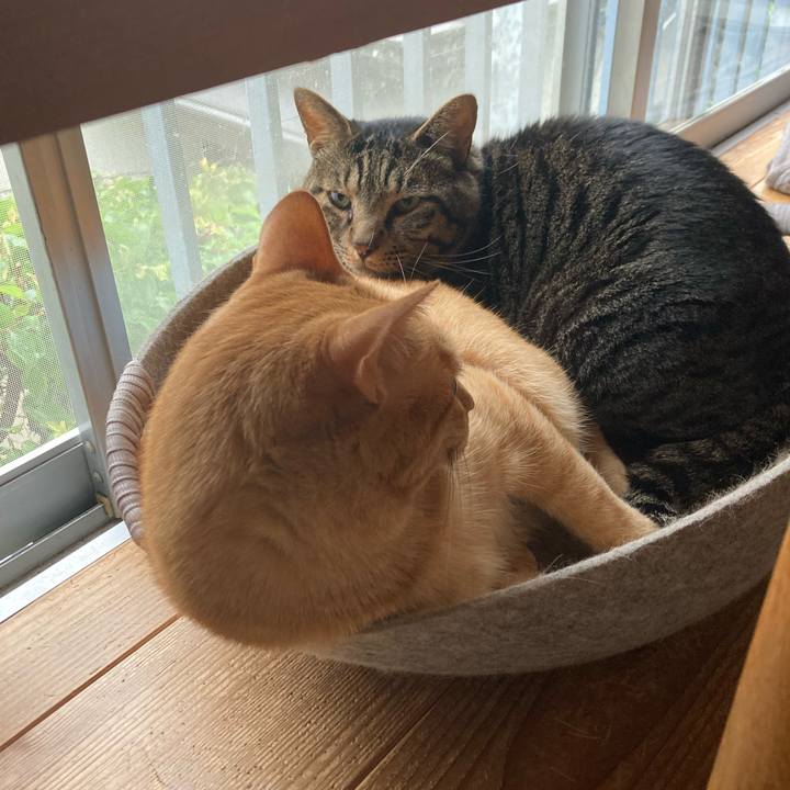 Edb57ed4 f1ae 486f a04c ccb19b131155 1718493957803