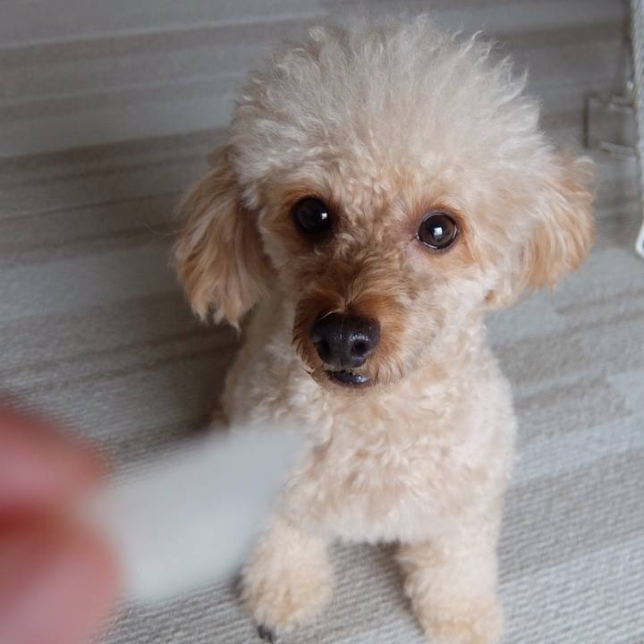 Edb59539 0c4a 4c9d ac13 5231ac9dd468 1567404339946