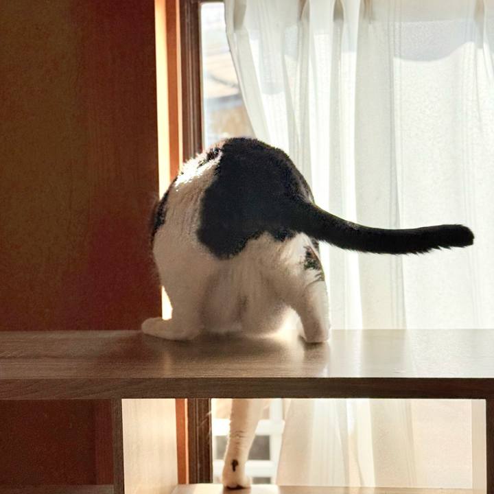 Edb5aa5e 0698 44d7 ae78 1f6f26107863 1770601005218