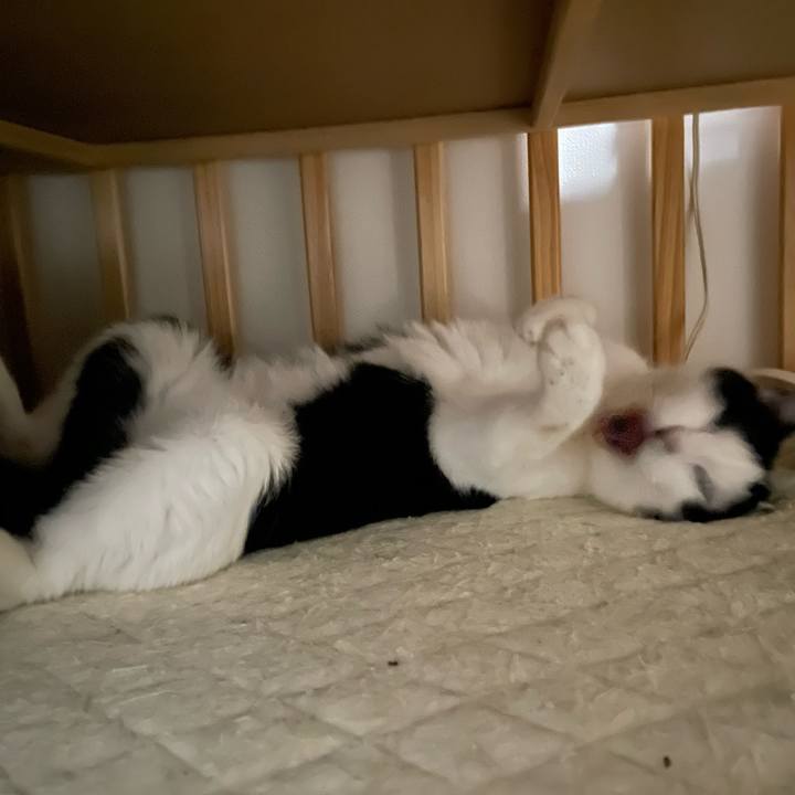 Edb5d281 aa5f 48db aac9 e1cc6480ebb2 1671878306355