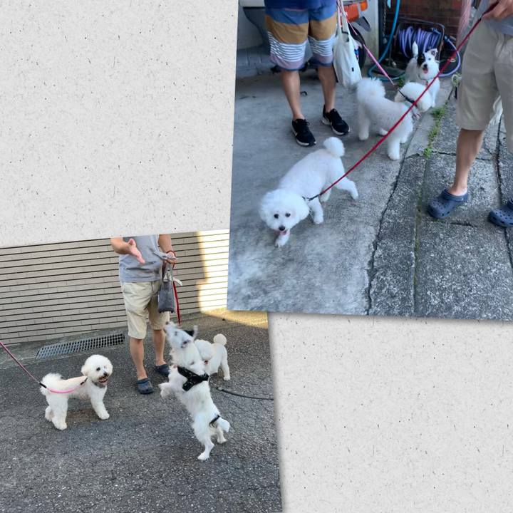 Edb5deec 7223 41f9 b7ac d6e65c946f9d 1694991576629