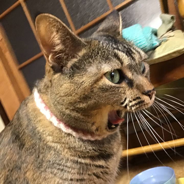 Edb5eed1 ddd7 4184 aa11 88ad83d26e32 1696144136647