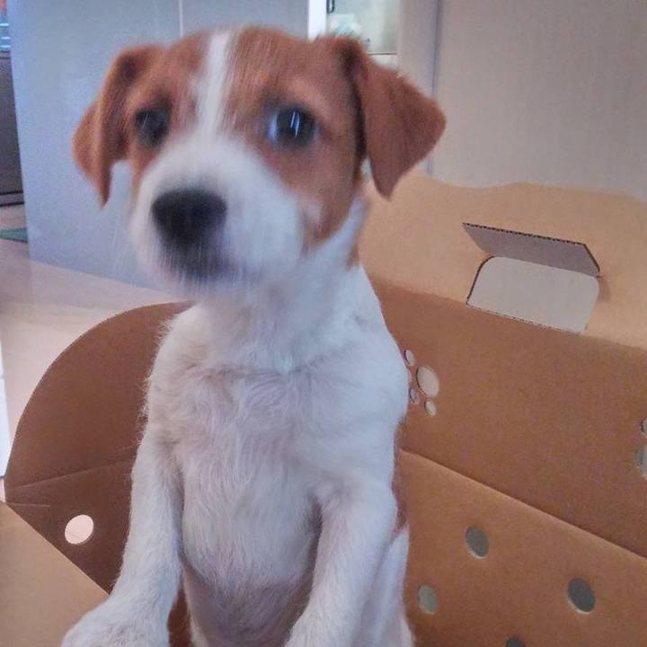 Edb62094 ddb0 444e 8be7 5cc6ddd7bef5 1619150181006