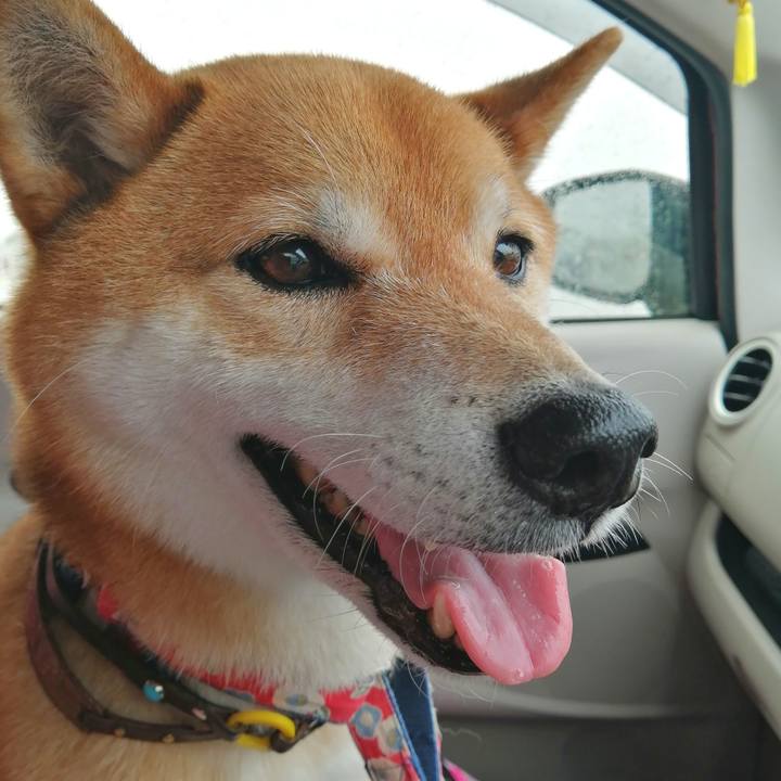 Edb62903 d365 4f42 bf7b c358f6c46614 1653615478993