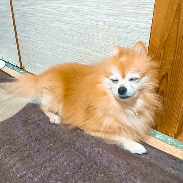 Edb65cfa 6a07 43df abf0 9ebded7b5dac 1539563546376