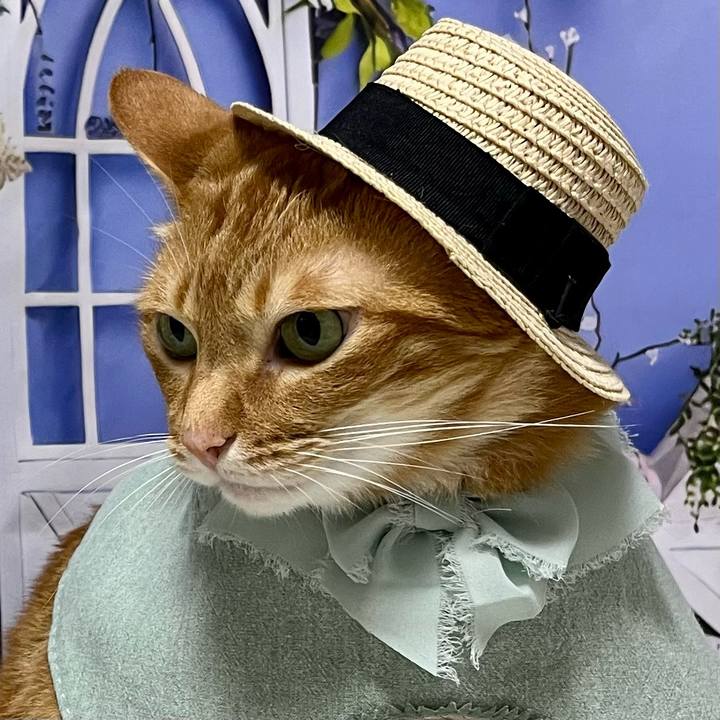 Edb67a59 f2f7 4a8e 8612 9c59033a75b9 1688213282441