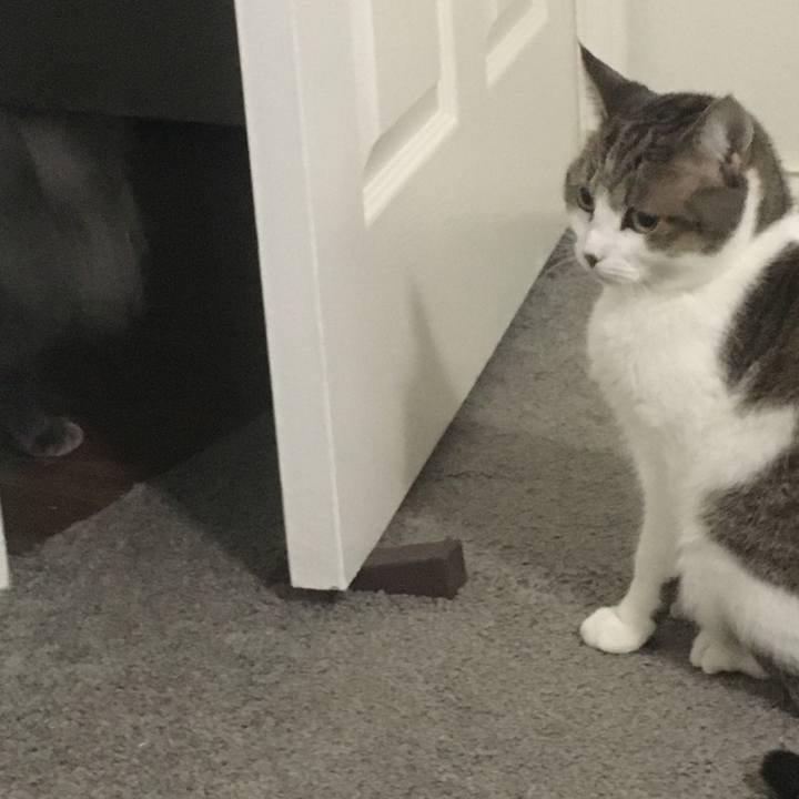 Edb69365 8caa 404d 8925 e97faecd9d9a 1691295759905