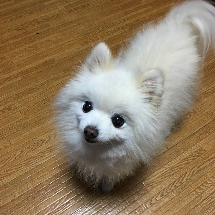 Edb6aeab 5f66 4a7a 87a3 445d0deee8af 1572222573866