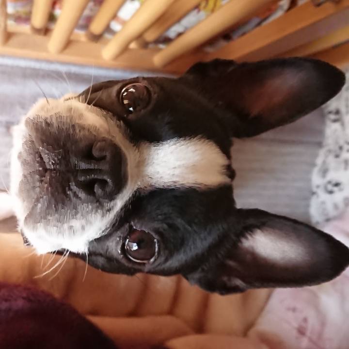 Edb6af20 15bf 4941 8d9c 3d71db91a68c 1520826804920