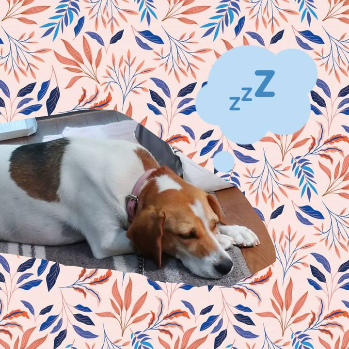 Edb6d280 85c8 4d1c b91e 28cbb6de4e79 1597382229360