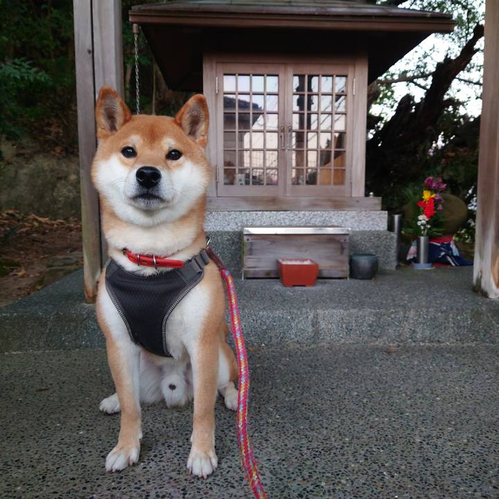 Edb720c5 5812 403d 8d08 036f06966748 1768604915623