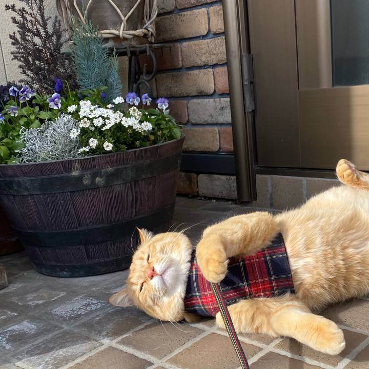 Edb739fc 955a 4756 bd2b 0dc3d6c74085 1643330199826