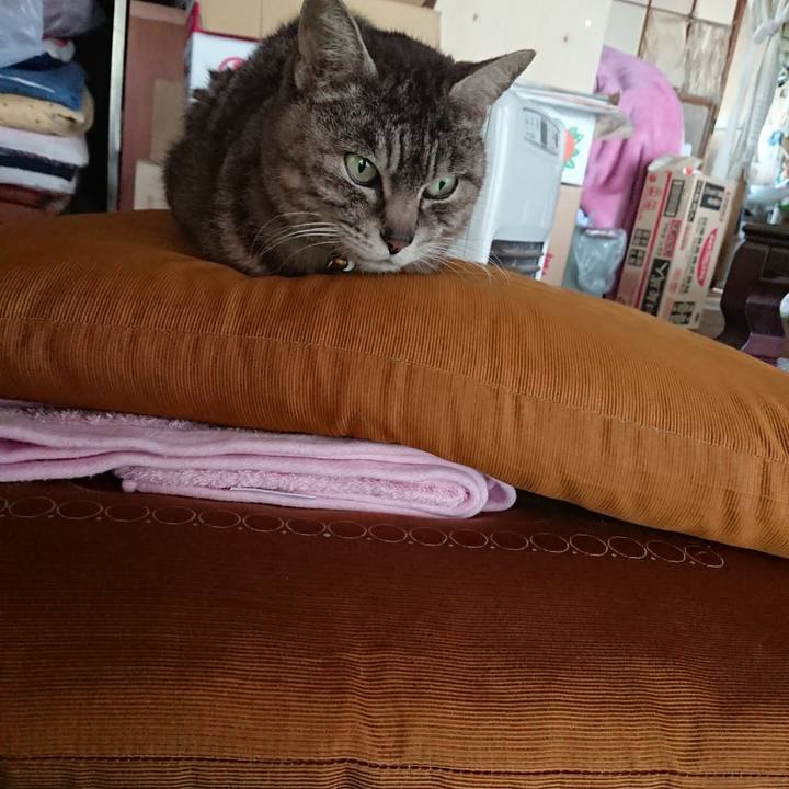 Edb73dca 2990 4bf9 b7a5 9fe90da960b5 1557735142306