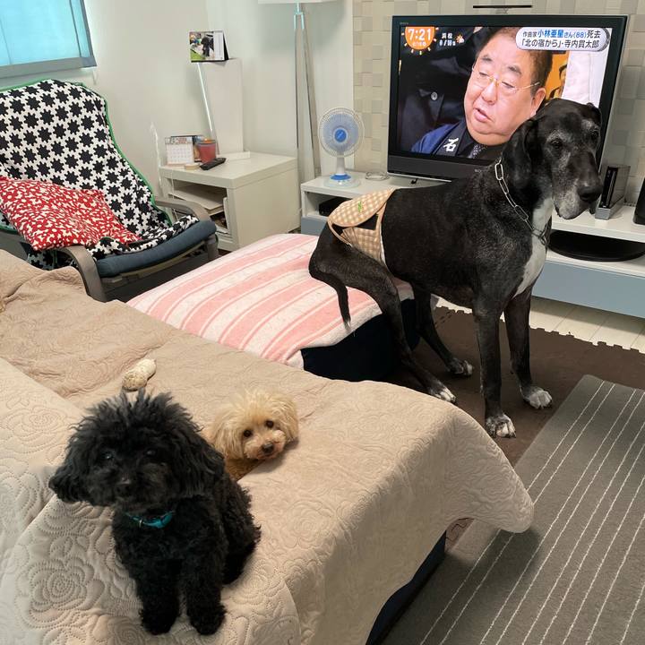 Edb7421c 8482 4992 be70 0b6835519bed 1623709321569