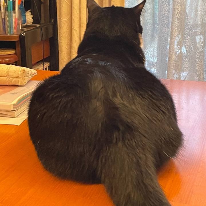 Edb7446a 9e5d 4e16 883e 089d711a91ac 1654519578214