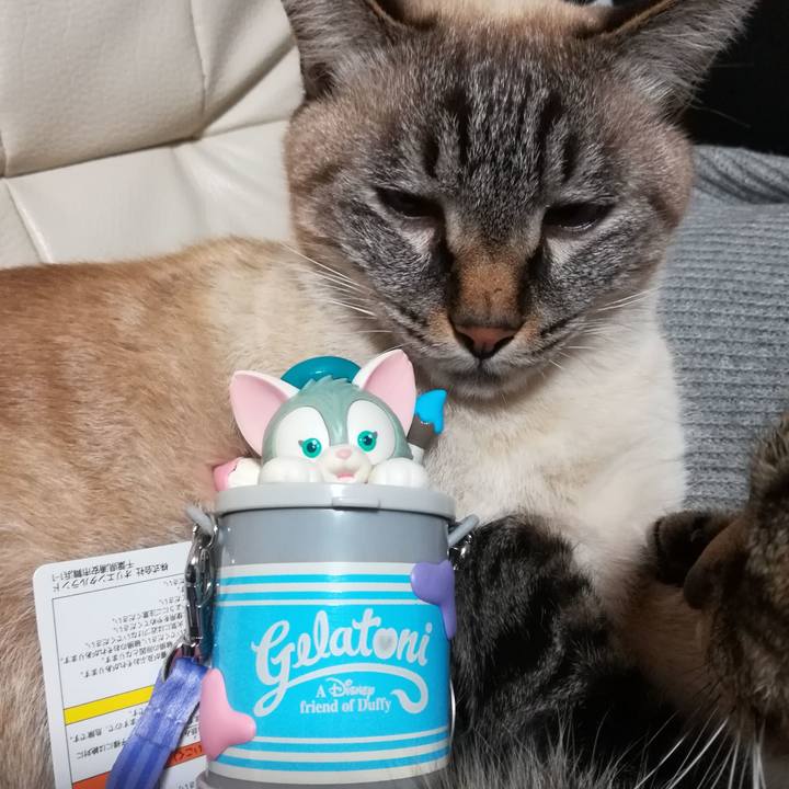 Edb7482c 642c 4c04 a60d 5653eeb53579 1574605764526