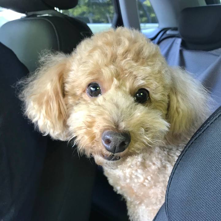 Edb756e2 d449 4325 8264 c2bdb17690d1 1525491635356