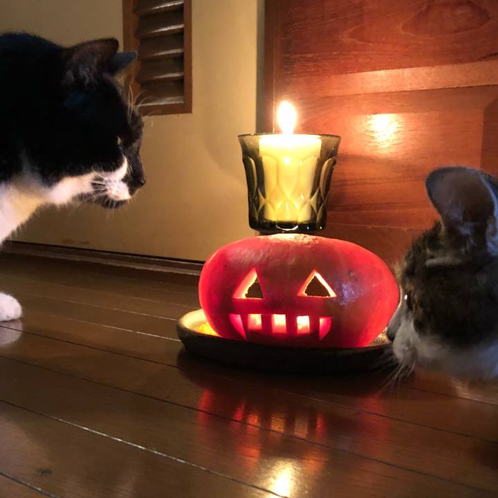 Edb769fa 76f0 45c0 913f cf635a5af792 1540992399040