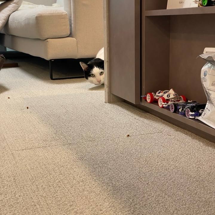 Edb77a90 b334 4373 9b98 4407b966c340 1722691809182