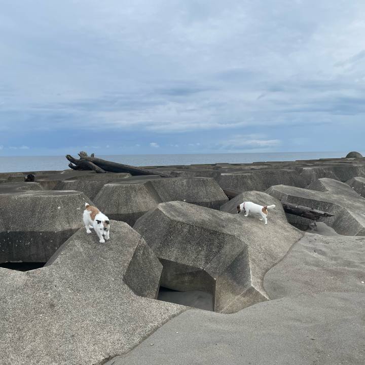 Edb78713 9dcc 47ec abbf da8a39bcd4b6 1725318952287