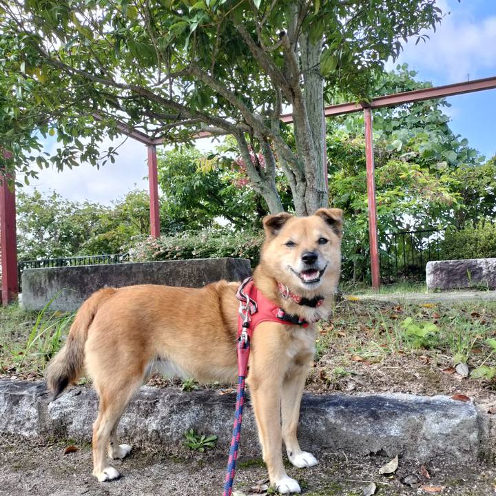 Edb7a23d 20ee 4bdd 9c51 2c5f64ba5d66 1728911587212