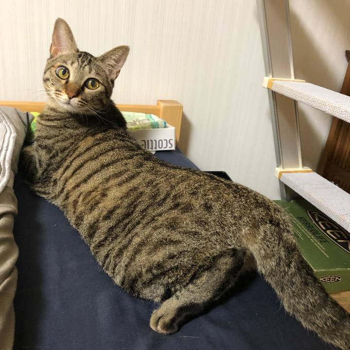 Edb7a589 85bd 4f17 a9ab 1aa0881f37c5 1537705987383