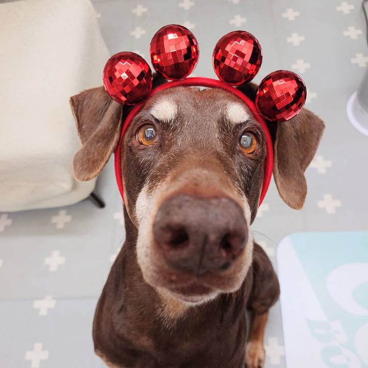 Edb7feb9 7901 4a42 8b41 31b9fef89cf6 1764124334028