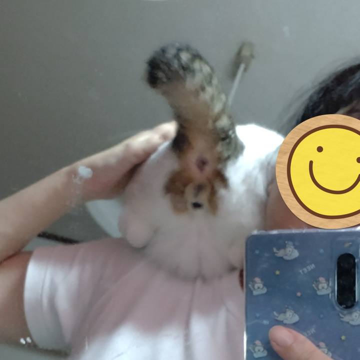 Edb82373 1aa5 4292 a504 8c9f848f05ed 1695025745626