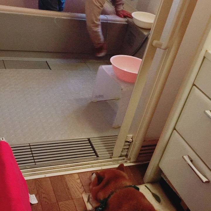 Edb82525 5572 4918 bb2b 7234f03b089a 1556355903659