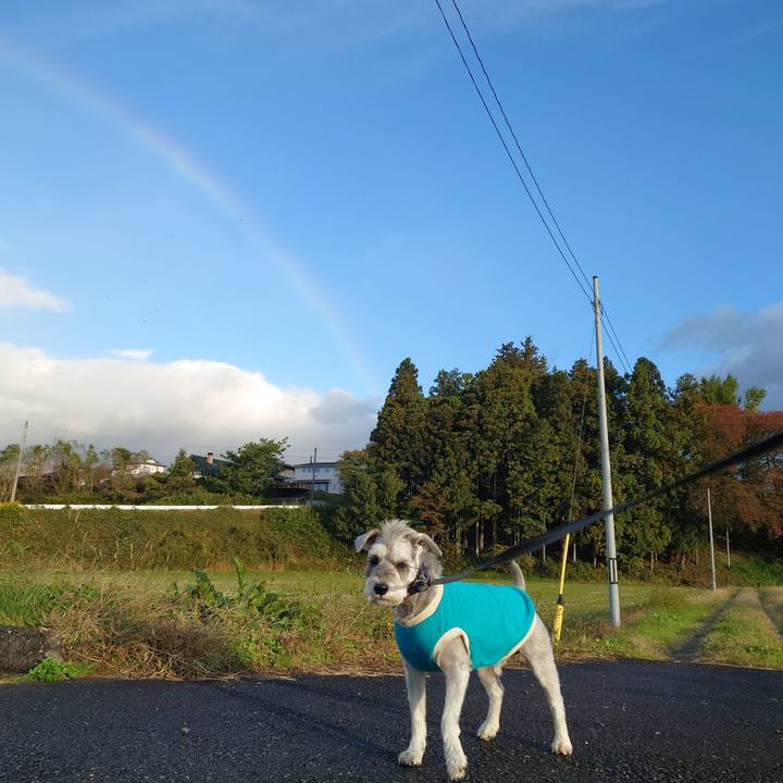 Edb829a2 10d4 4360 80c3 1b02175e14b8 1762038252070