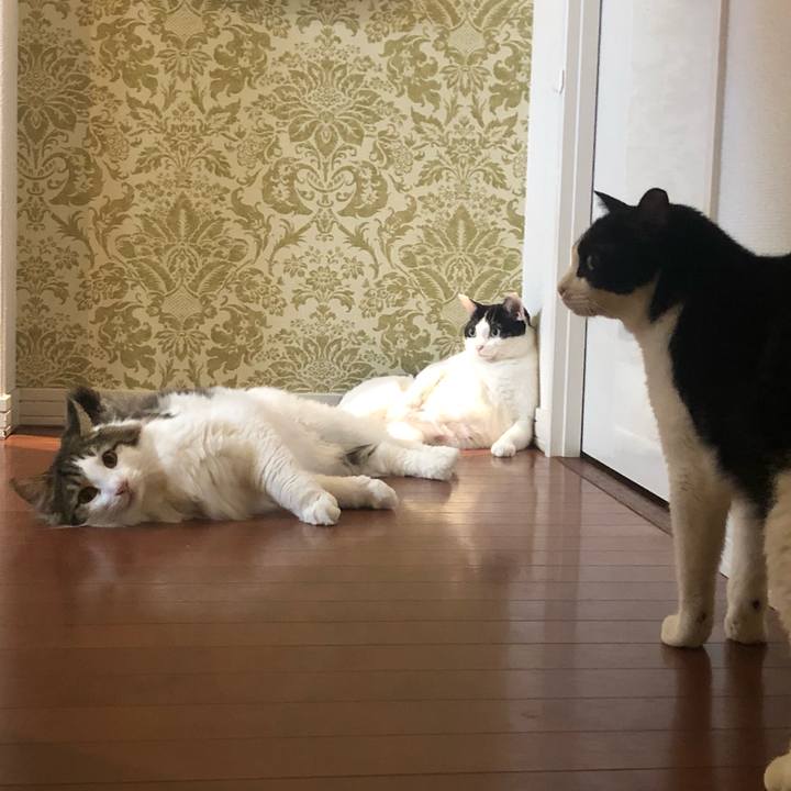 Edb86edc d9d2 4b1e 8a7e f25ac15374bb 1568195343149